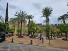 PICTURES/Cordoba - The Alcazar/t_20231029_150032.jpg
